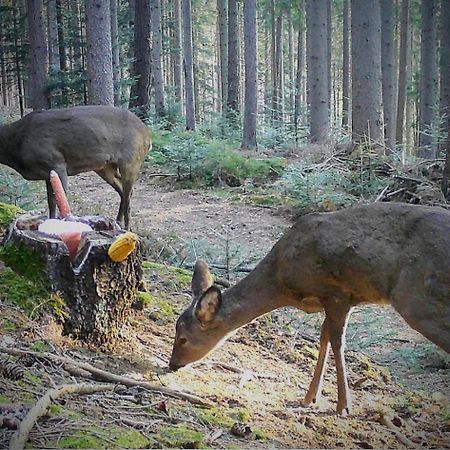 Ferienwohnung Kochs Beeren Oberfresen Exteriör bild